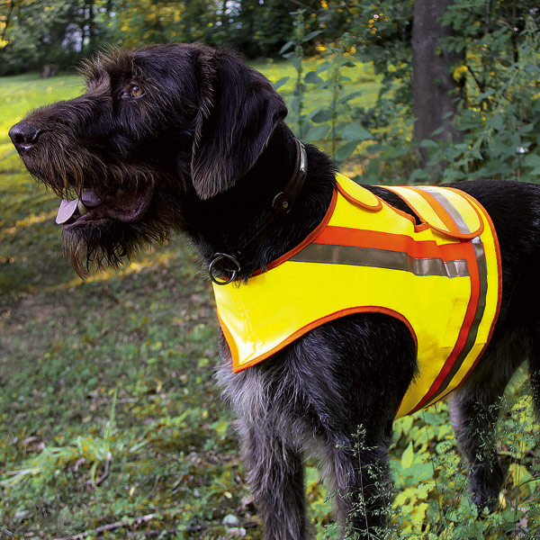 Reflektorweste für Hunde Reflektorweste für Hunde