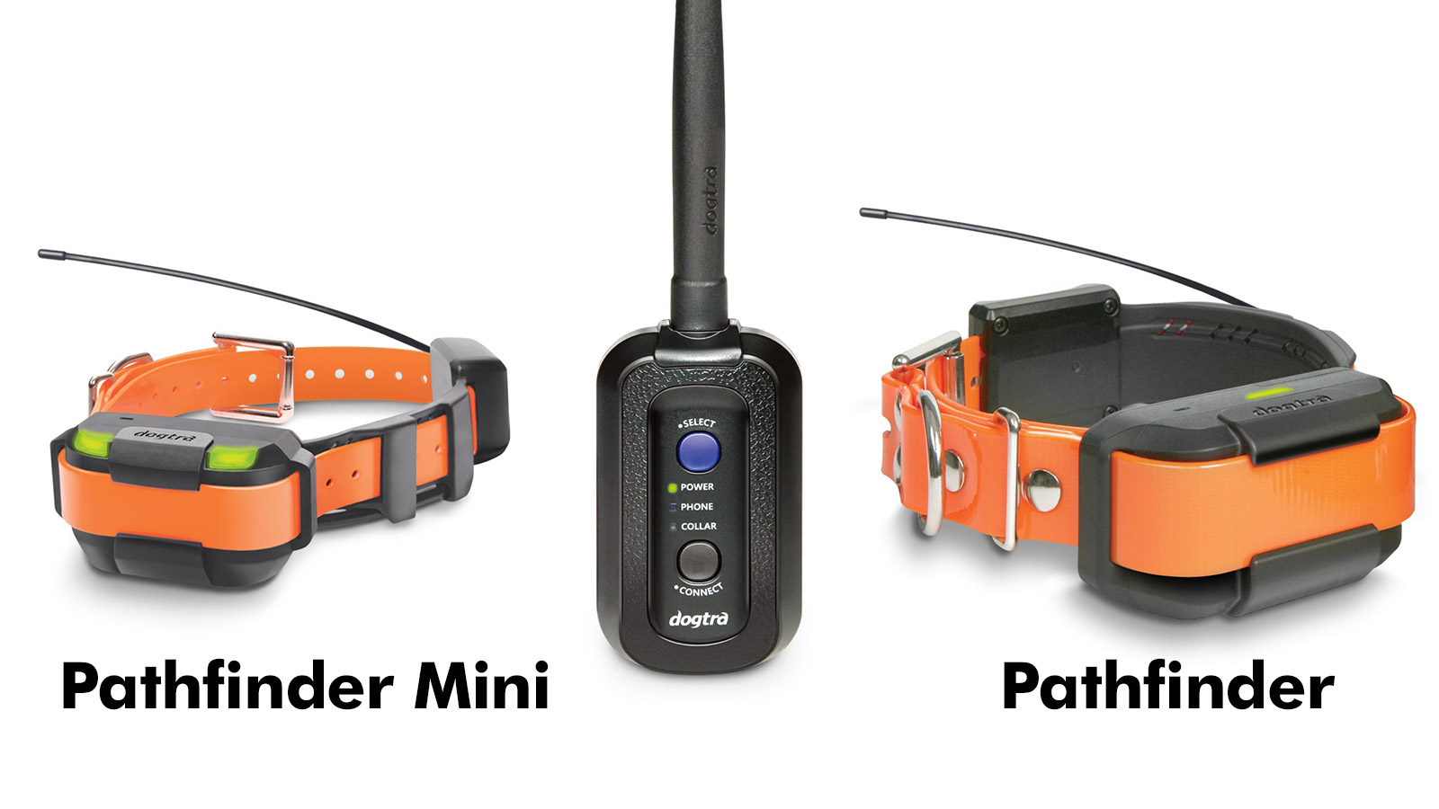 DOGTRA Pathfinder