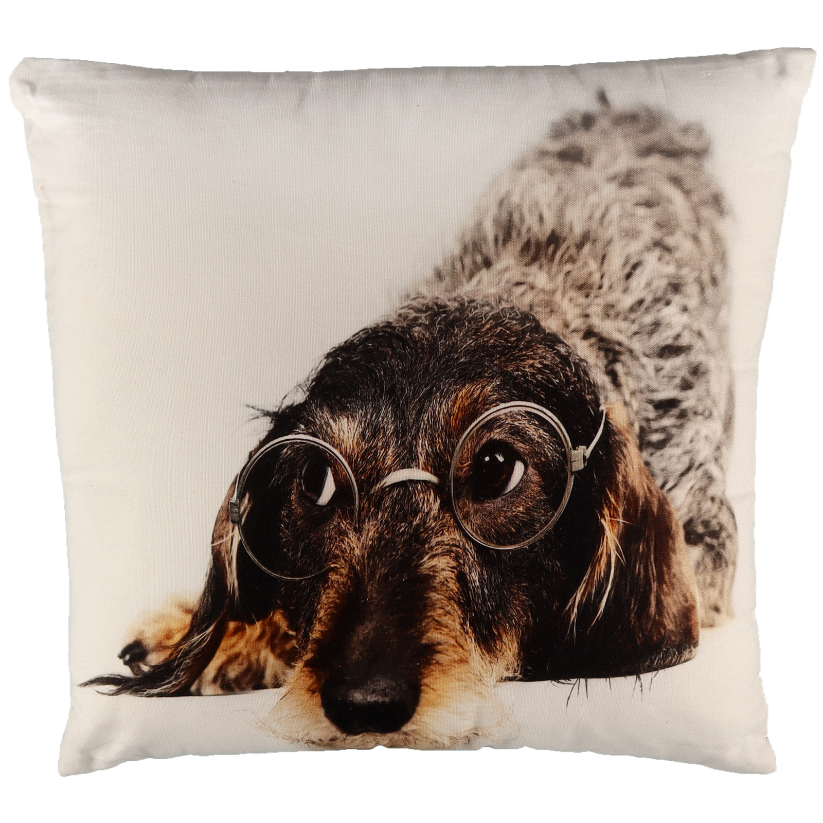 Kissen Dackel mit Brille 50x50 cm Kissen Dackel mit Brille 50x50 cm