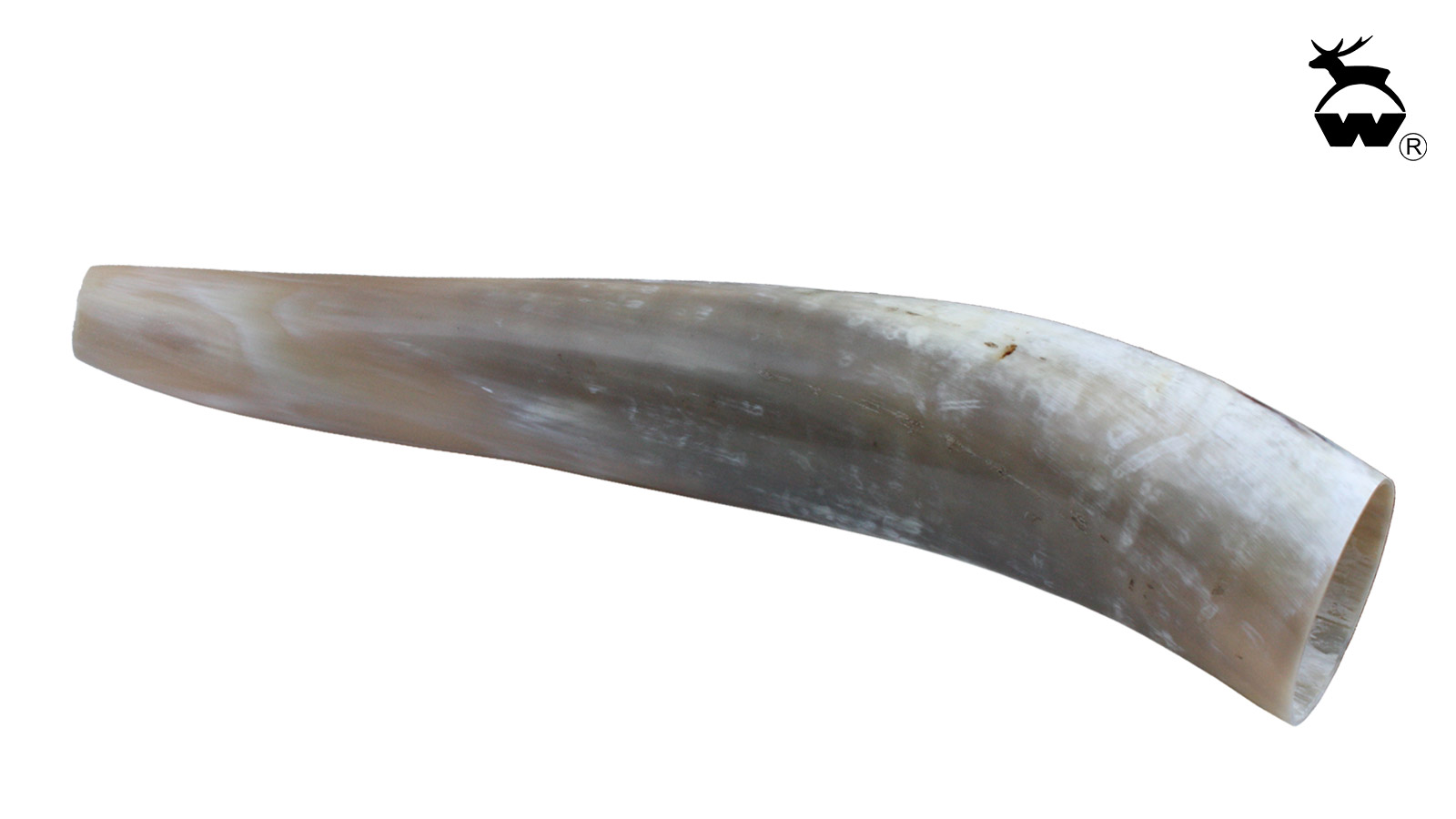 WEISSKIRCHEN Ochsenhorn für Hirschruf WEISSKIRCHEN Ochsenhorn für Hirschruf
